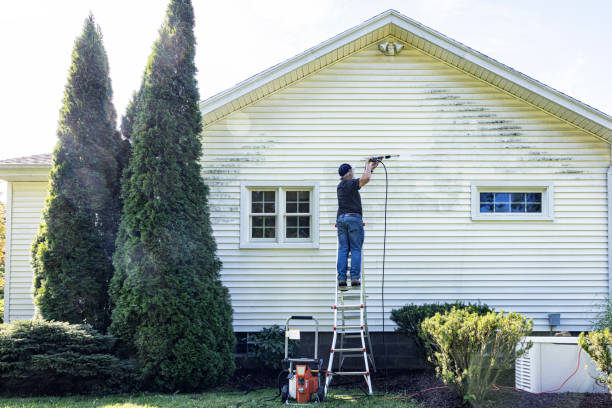 Best Graffiti Removal  in Longmont, CO