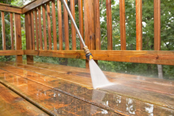 Best Roof Washing  in Longmont, CO